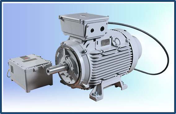 Ampco Zone 2 Generator - Zone 2 Alternator Type ANSI